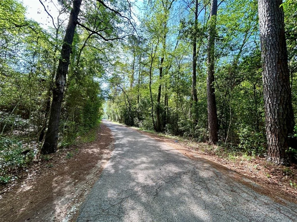 Photo of TBD Copperhead Road