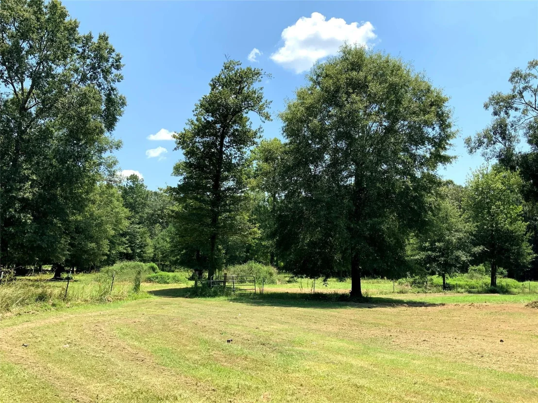 Photo of 783 County Road 377