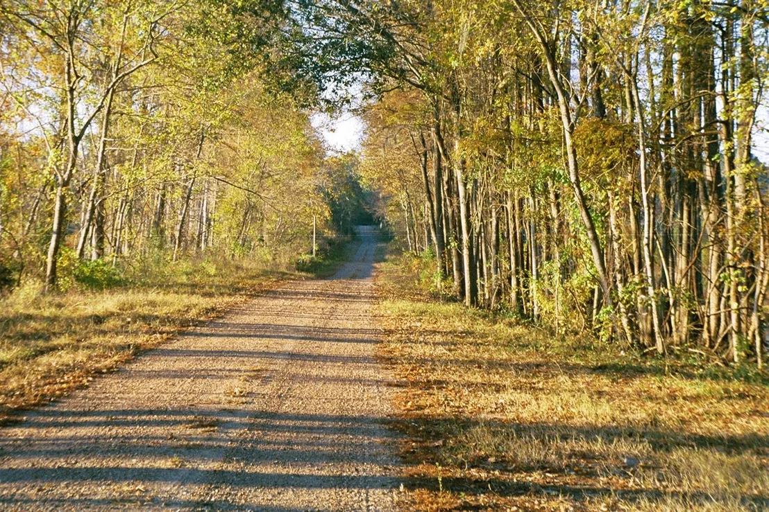 Photo of 81 Pine Meadow