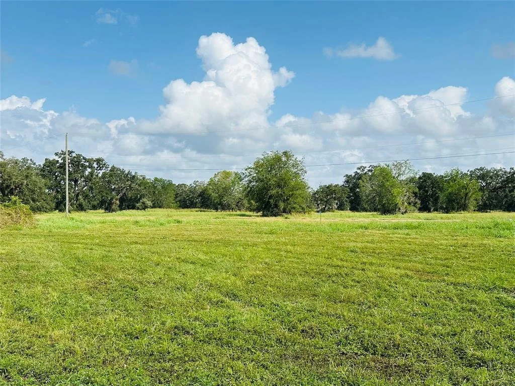 Photo of 274 Pony Trail