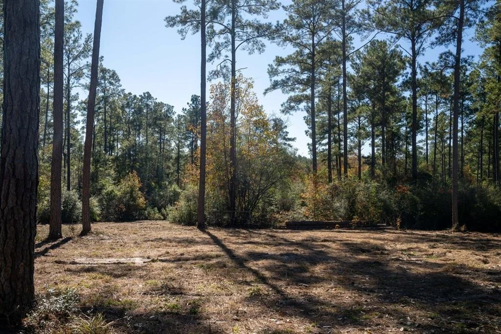 Photo of 445 County Road 3190