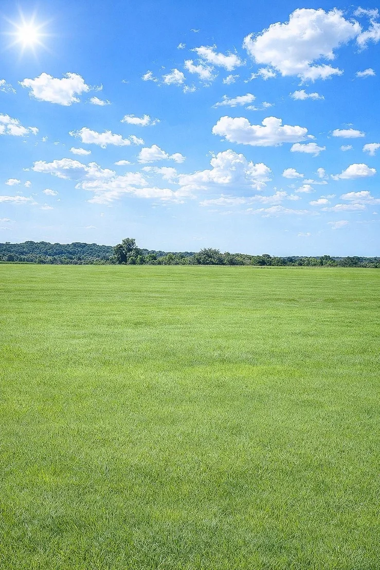 Photo of TBD (+/- 38.77 Acres) Andreski Road