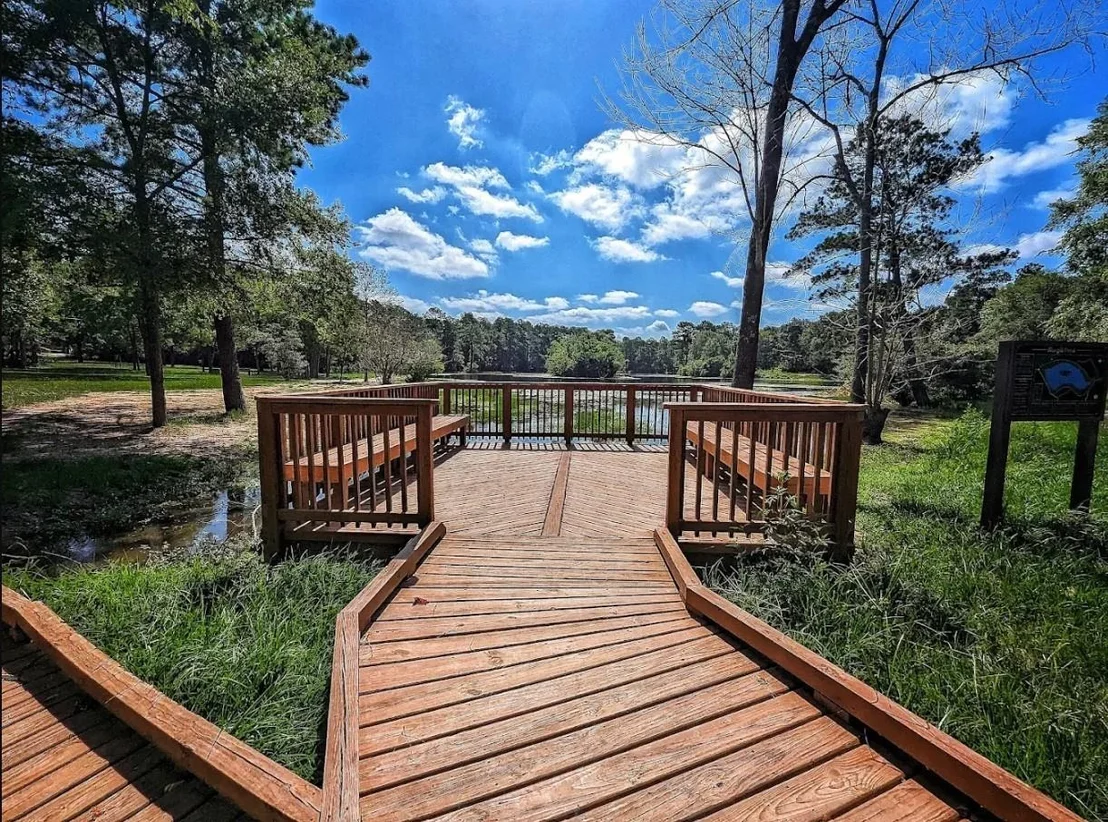 Photo of 3019 Knotty Forest Drive