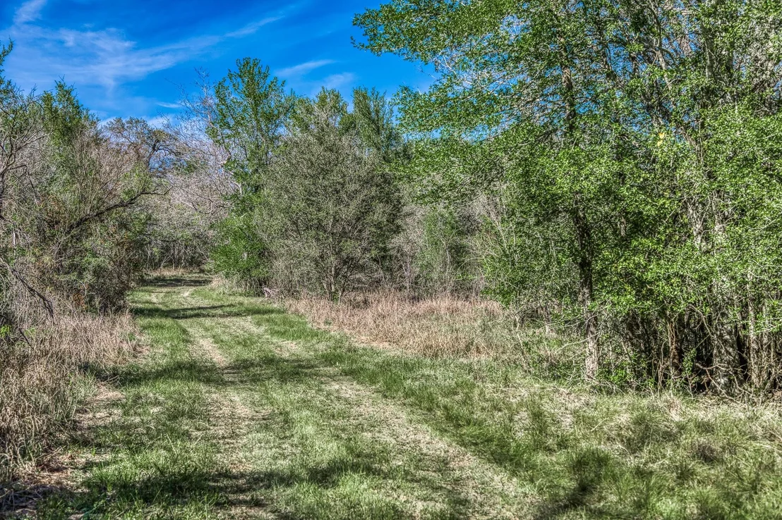 Photo of 687 County Road 340