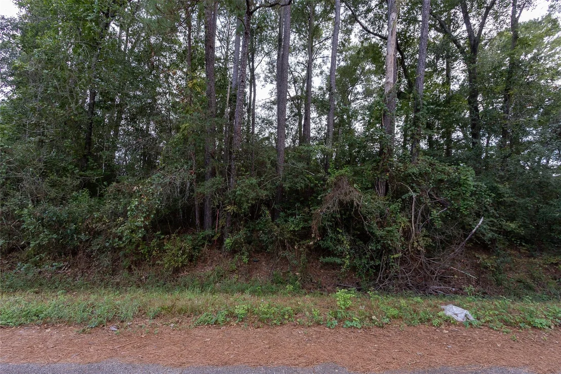 Photo of 31 Holly Springs Drive