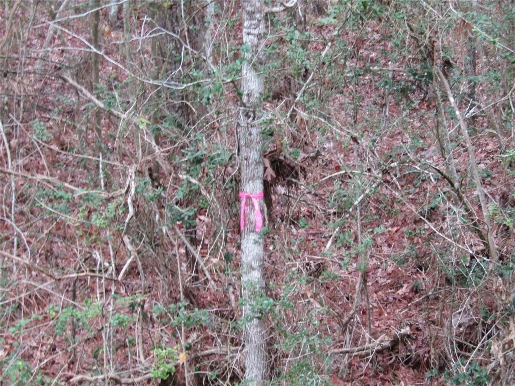 Photo of 0 E Acorn Drive