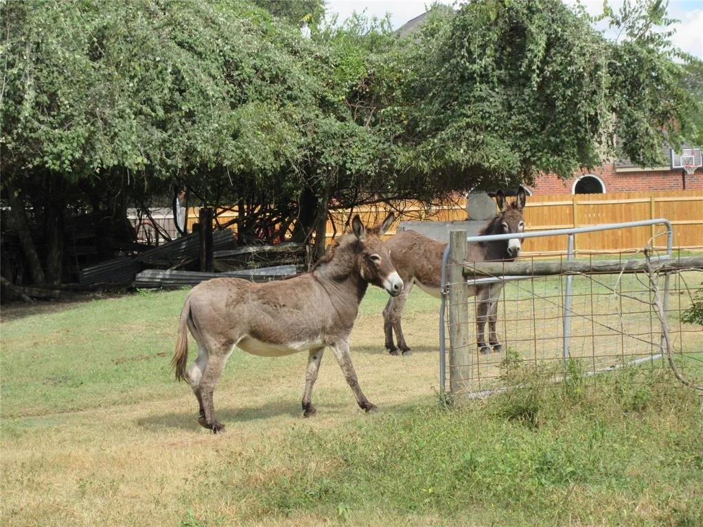 Photo of 2234 Baker Road