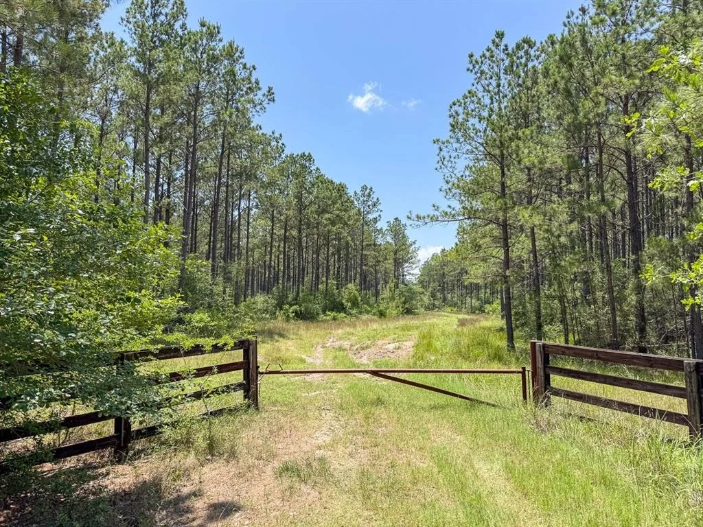 Photo of TBD Fm 355