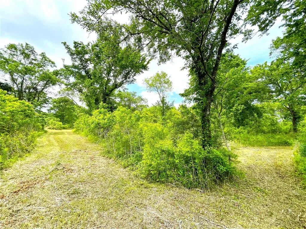 Photo of 5135 County Road 288