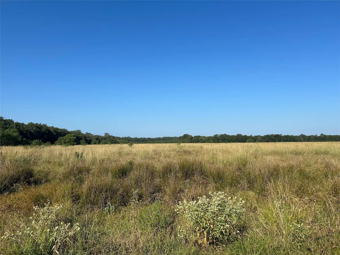 Photo of Lot 63 Minnie West Rd Drive