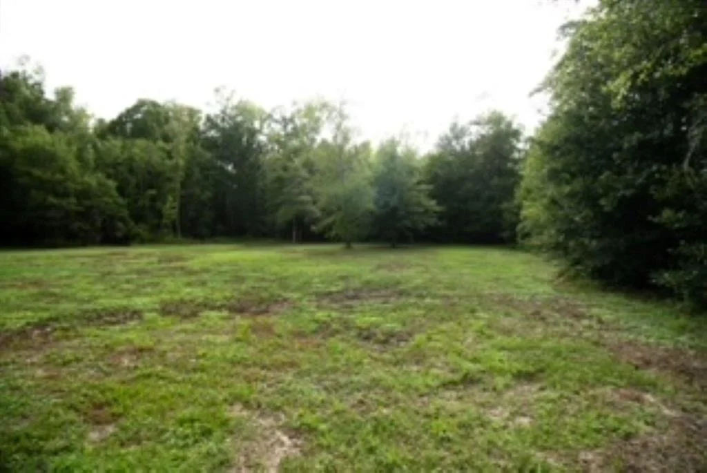 Photo of 650 Cr 4055