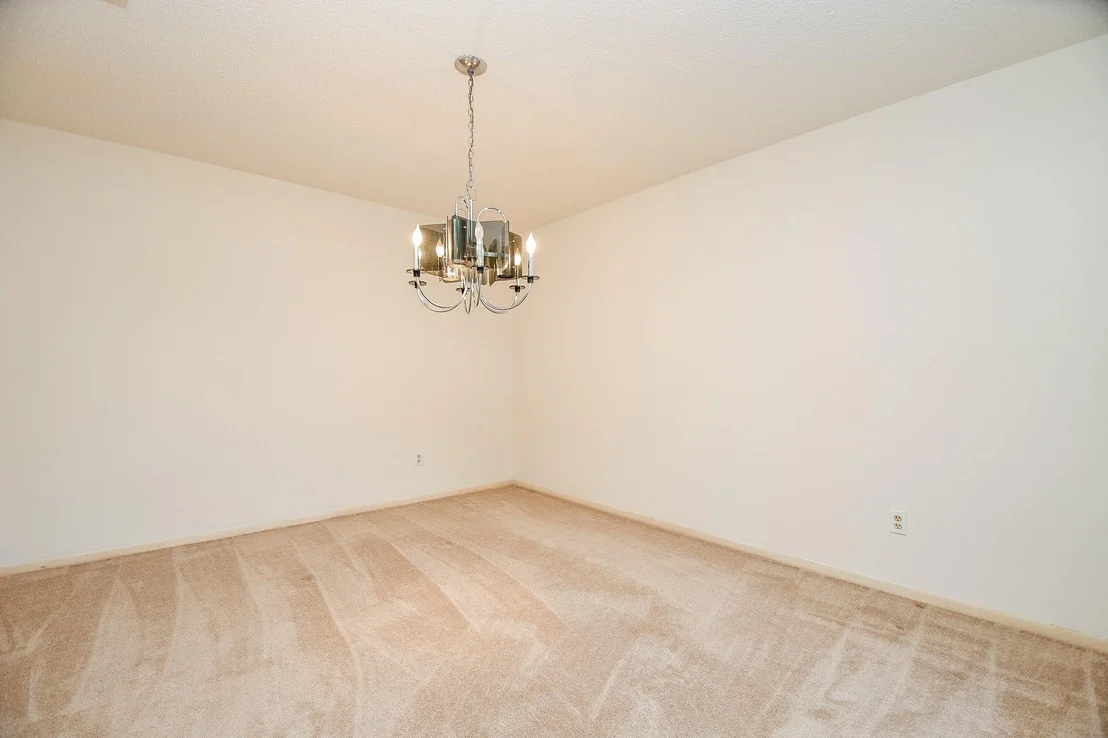 Photo of 10743 Braes Forest Drive
