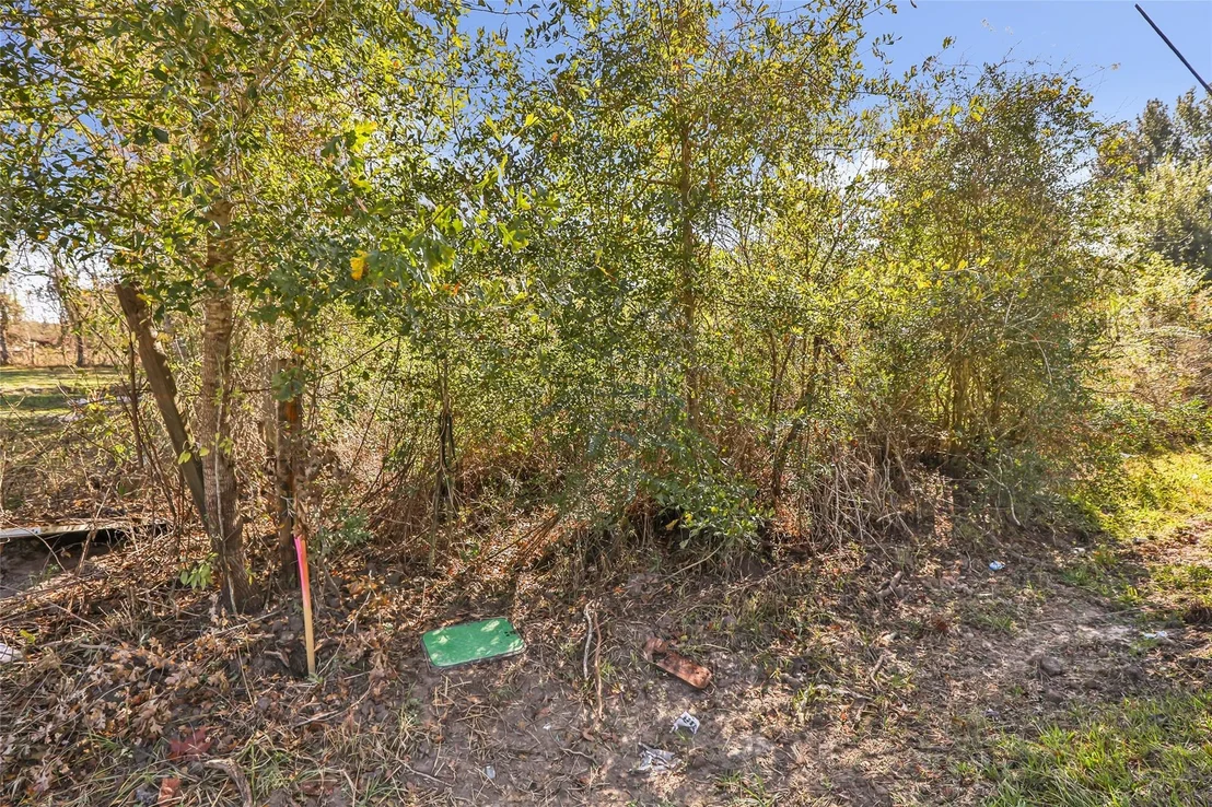 Photo of 576 County Road 614