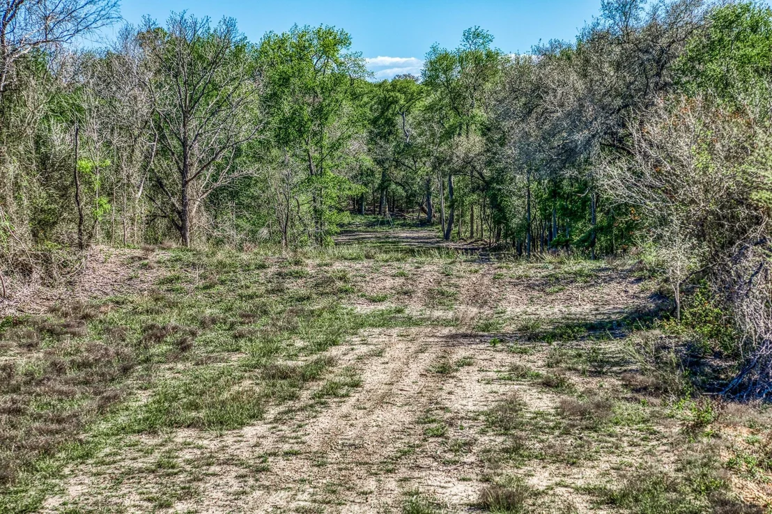 Photo of 687 County Road 340