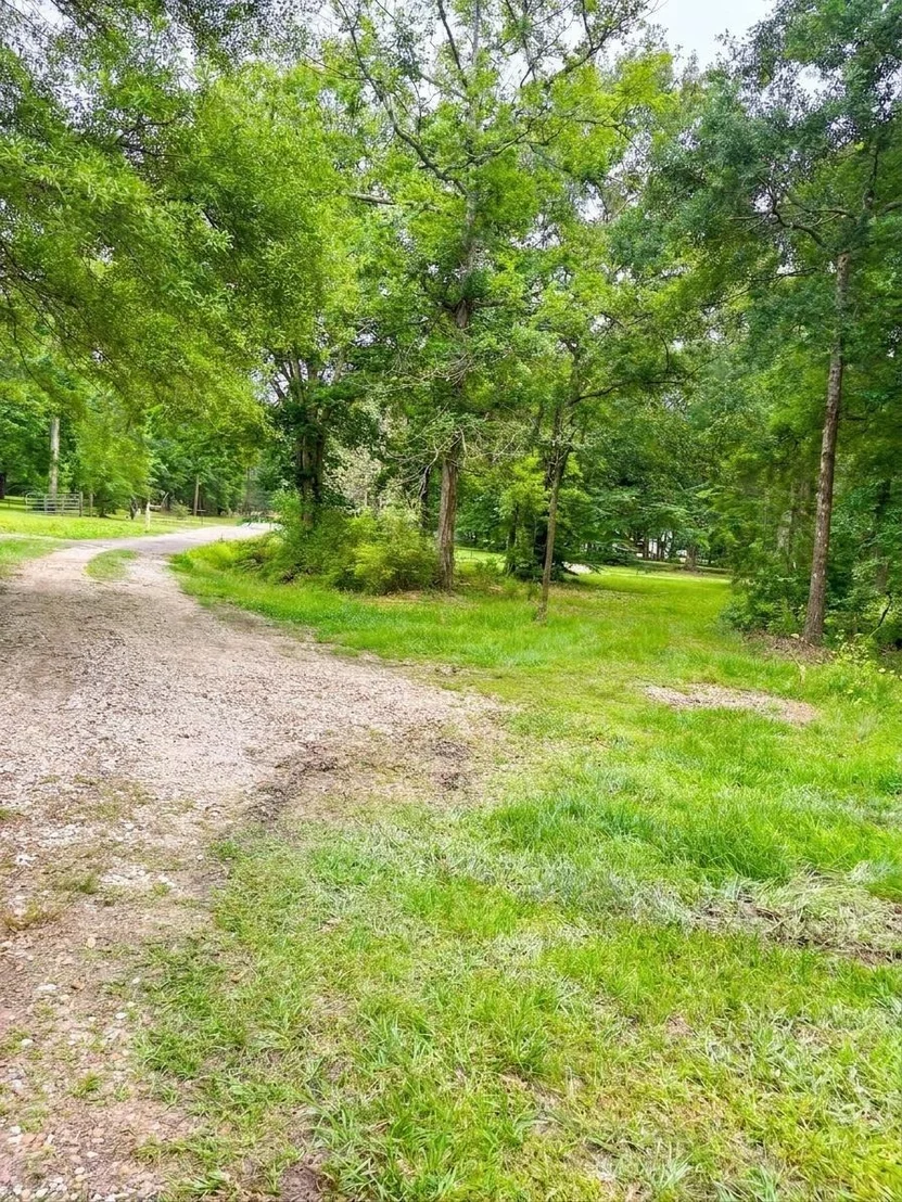 Photo of 189 County Road 2223