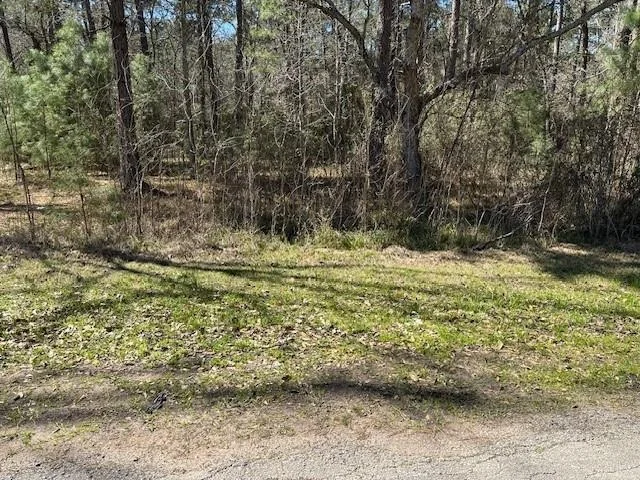 Photo of 15819 Forest Drive