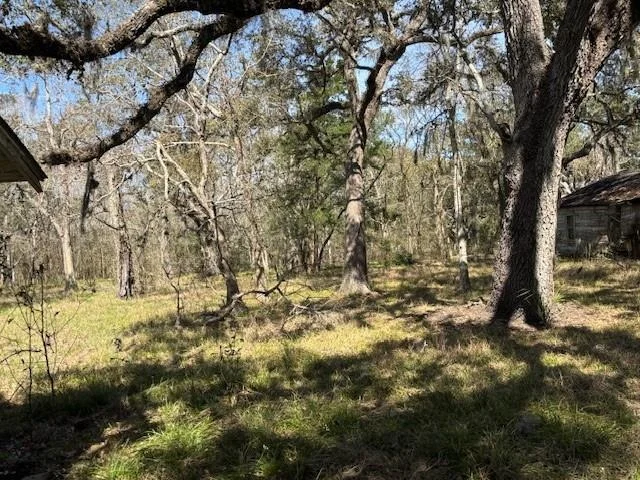 Photo of 18772 Highway 35