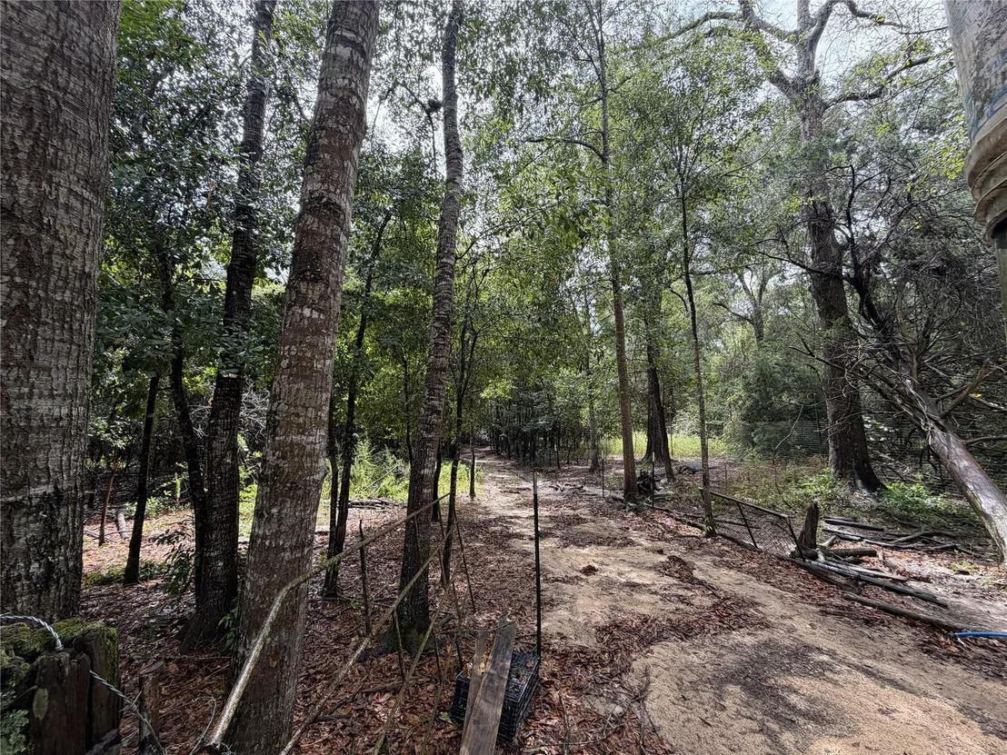 Photo of 1340 County Road 4375