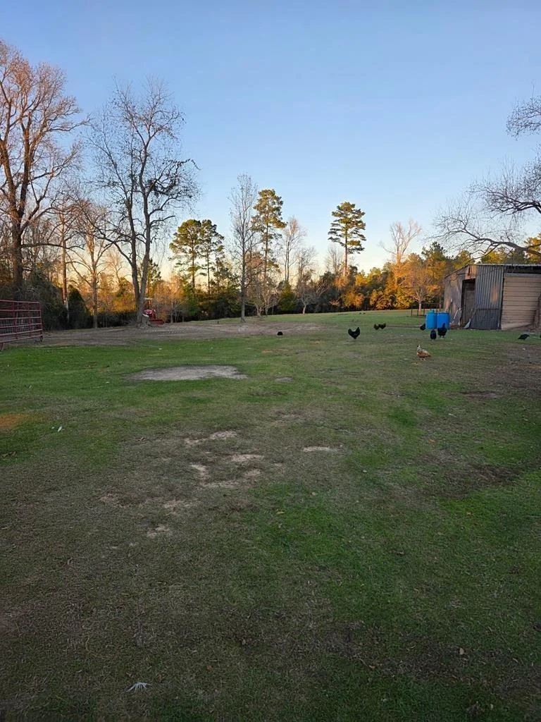 Photo of 3017 N Hwy 87