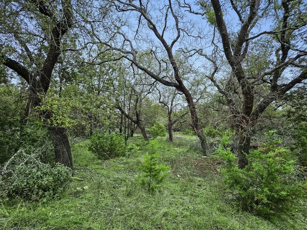 Photo of 157 Verbena Circle