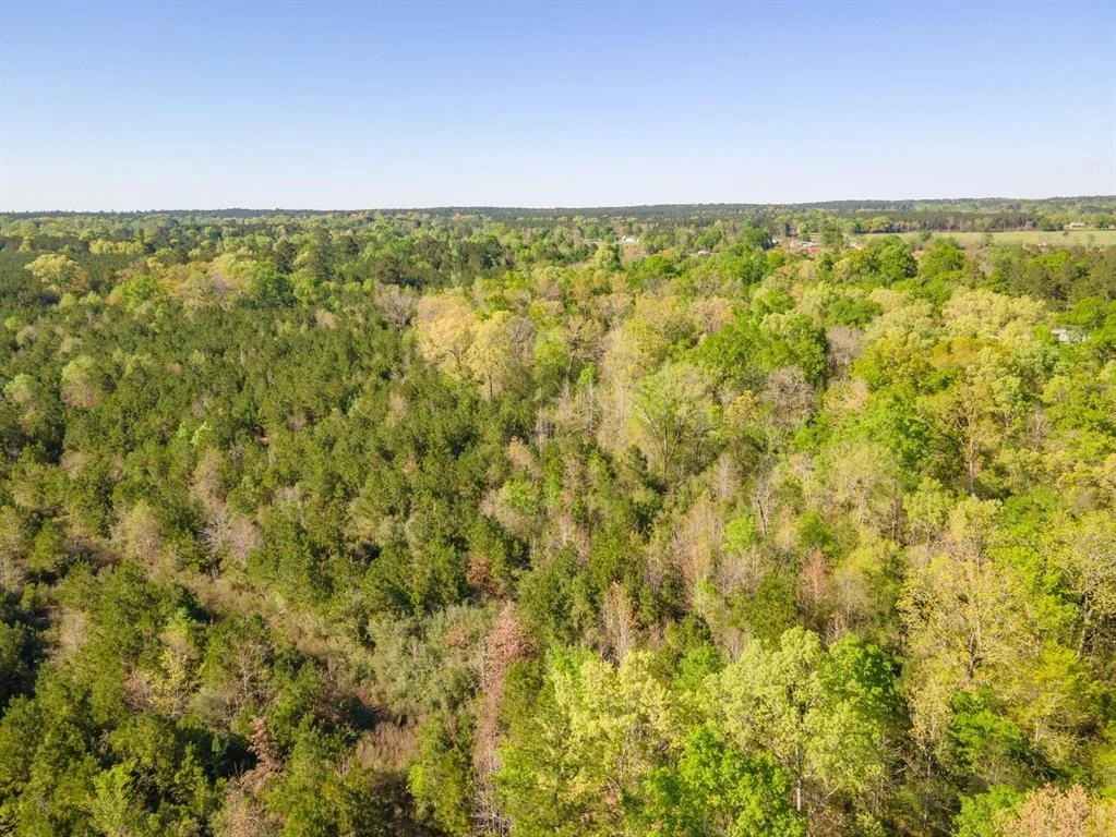 Photo of TBD 2 Robert Jones Rd