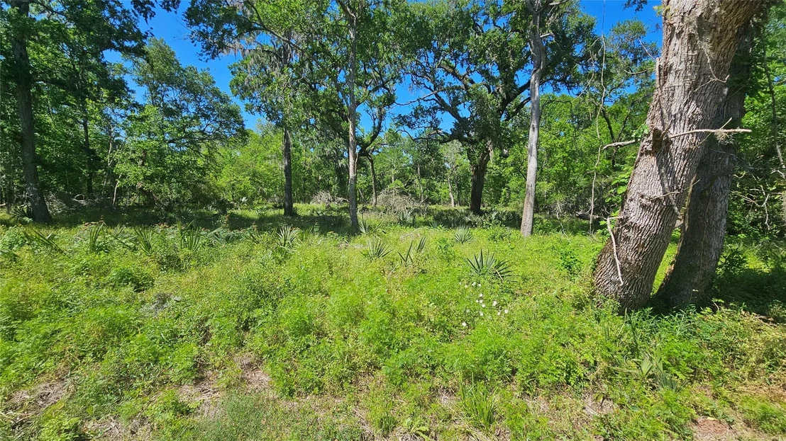 Photo of 248 Middle Bayou Trail