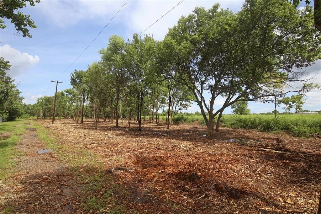 Photo of 3720 County Road 144