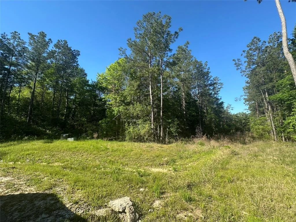 Photo of 15505 Republic Park Trail