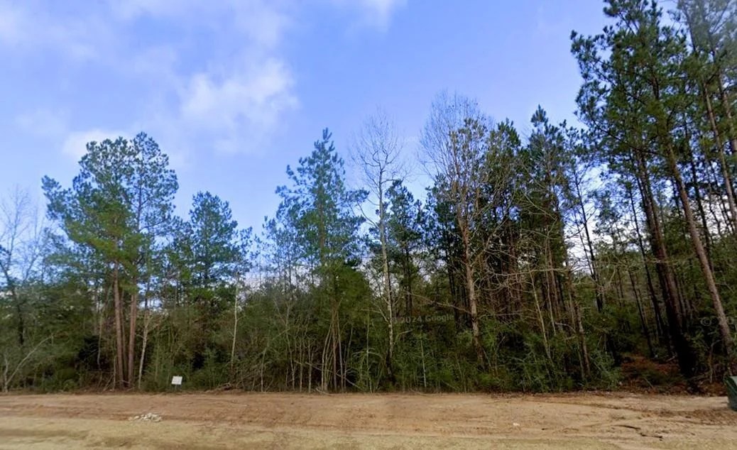 Photo of 11794 Grand North Road