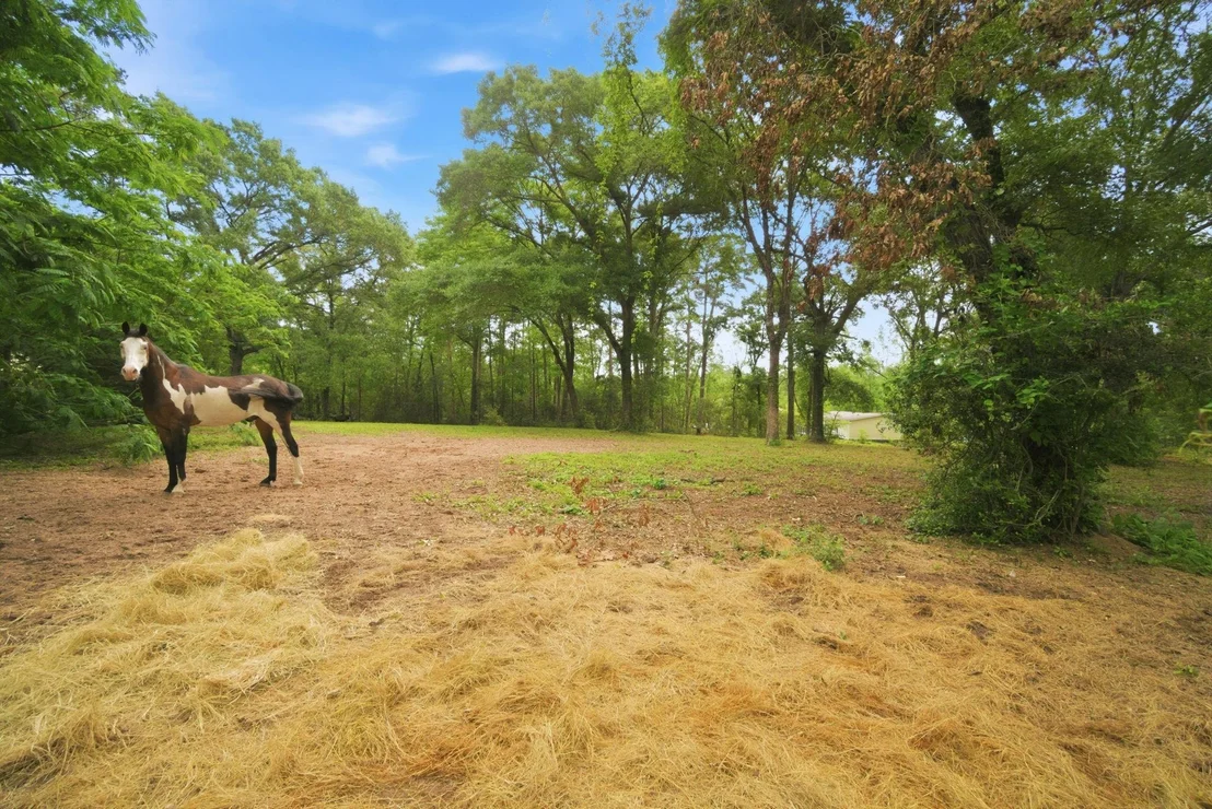 Photo of 6161 Woodland Lakes Loop