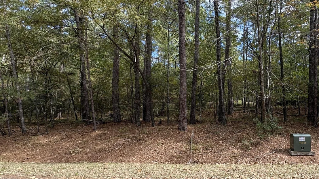 Photo of 103 Green Tree Drive