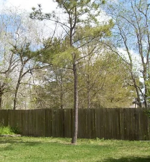 Photo of 115 Eagle Lakes Drive