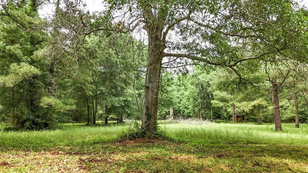 Photo of 2700 Spring Branch Road