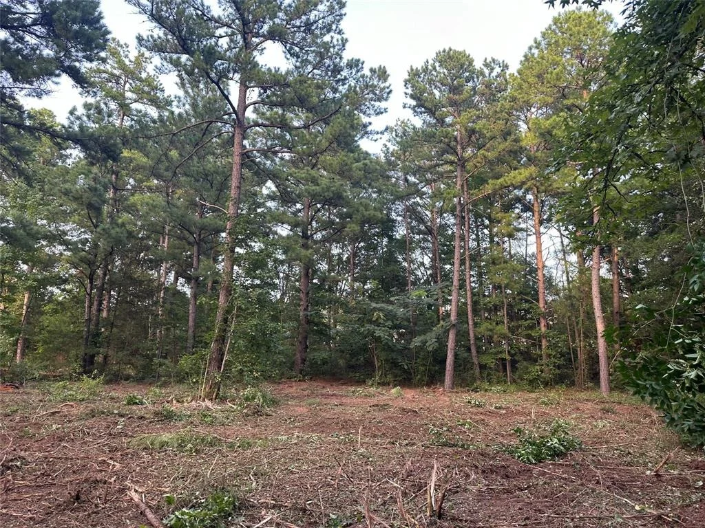 Photo of TBD Lot 9 C R 386