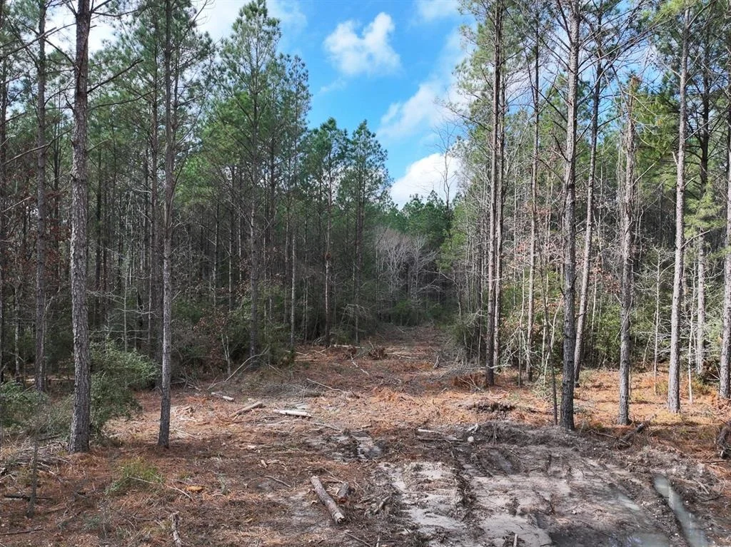 Photo of TBD Off Fm 355