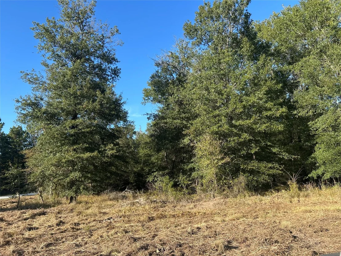 Photo of Tract 35 Fm 230