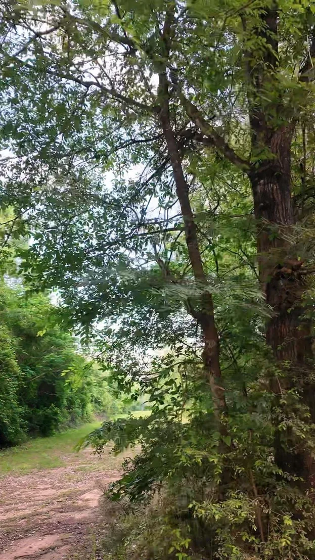Photo of 0 County Line Road