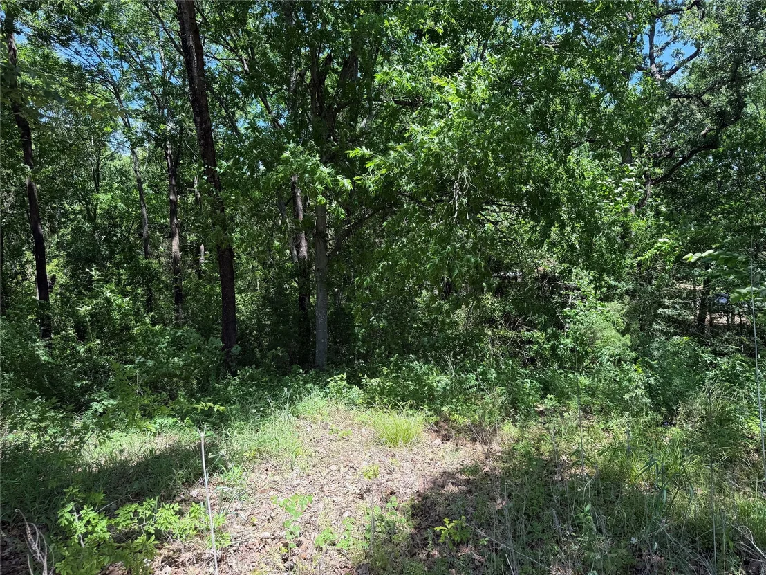 Photo of 1341 & 1343 Waikiki Trail