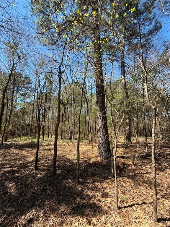 Photo of TBD Boards Ferry Rd