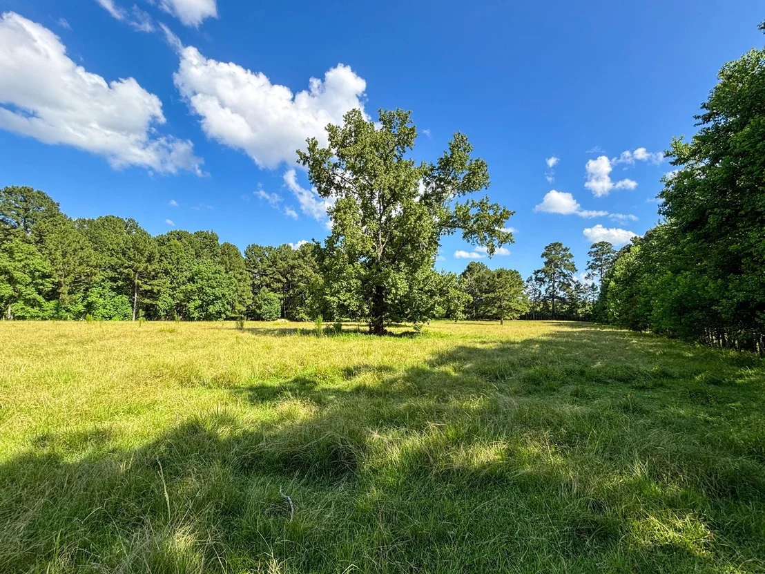 Photo of 1533 County Road 348