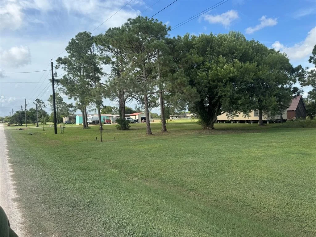 Photo of 125 Tupelo S