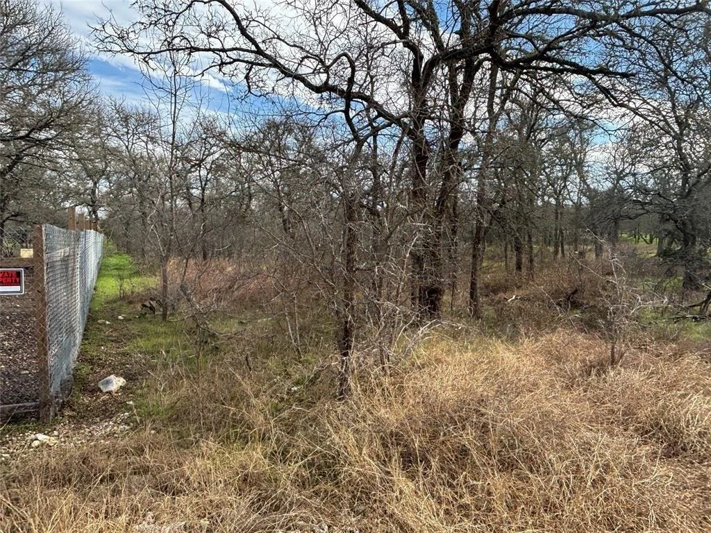 Photo of 245 Elm Forest Loop
