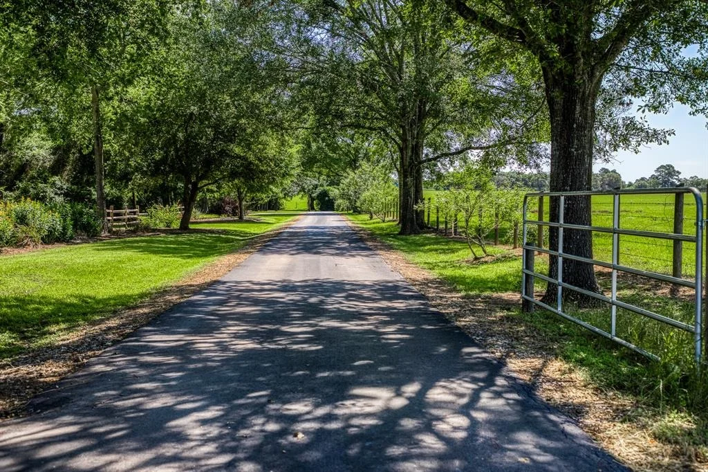 Photo of 23540 Flavin Lane Road