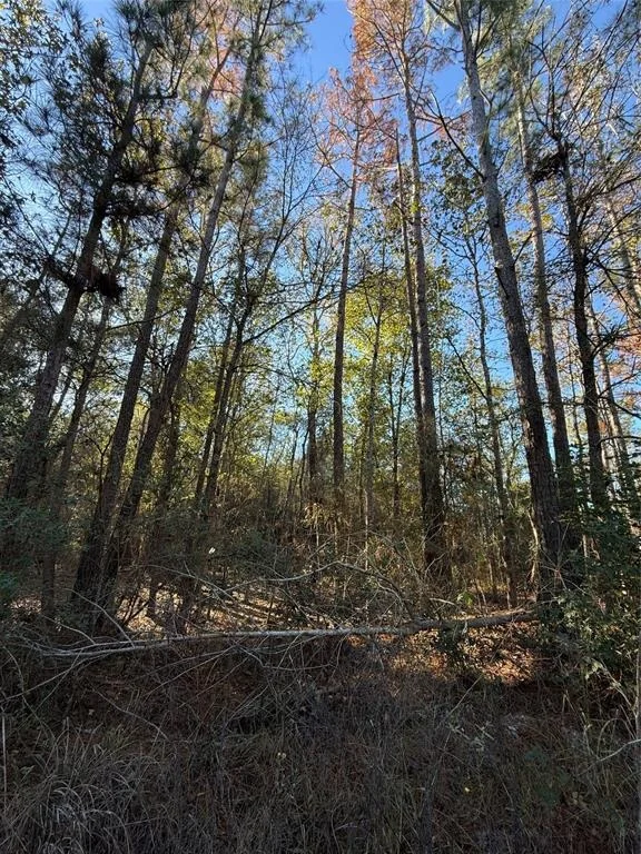 Photo of TBD Deer Run Dr