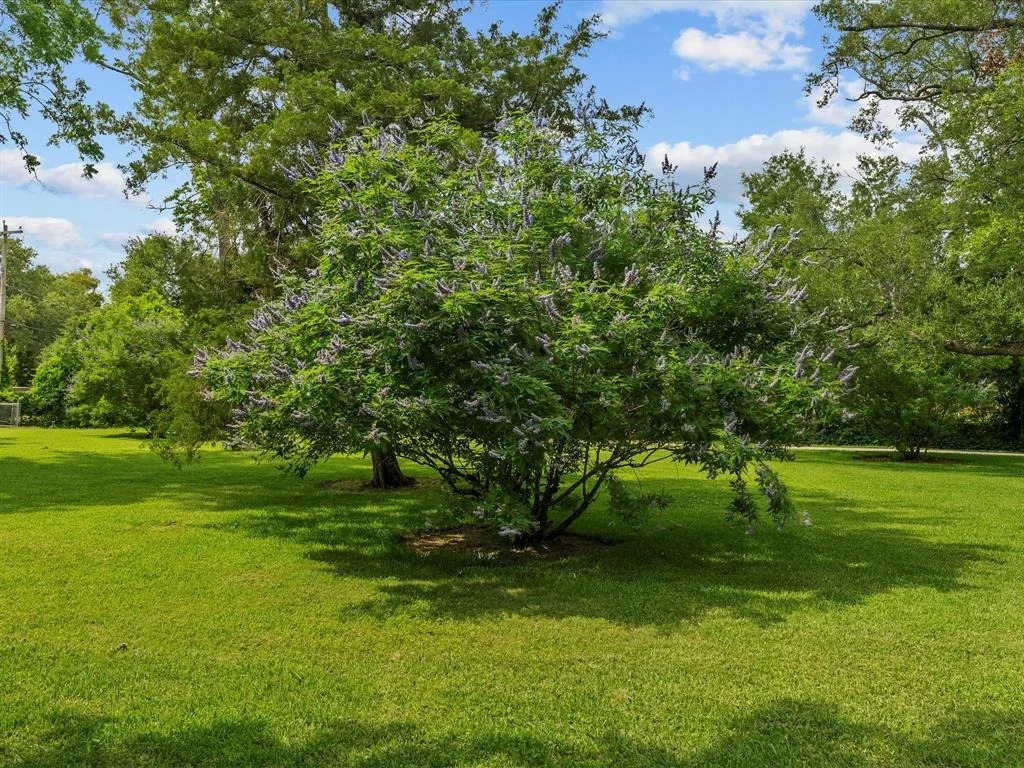 Photo of 5401 Palm Drive
