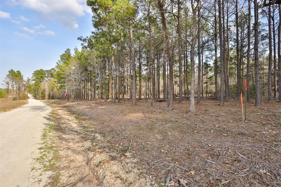 Photo of 450 Williamson Way Way