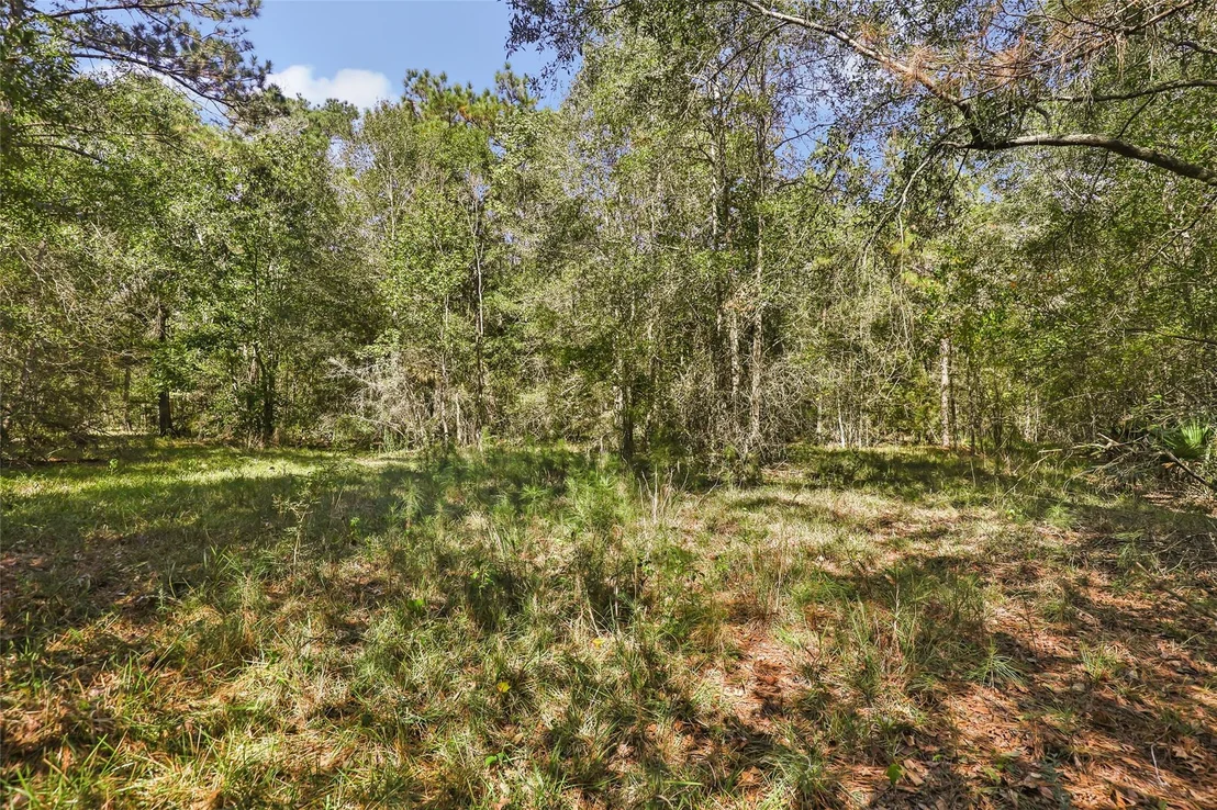 Photo of 1132 County Road 112