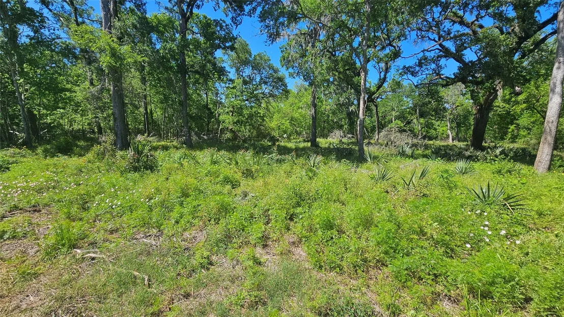 Photo of 248 Middle Bayou Trail