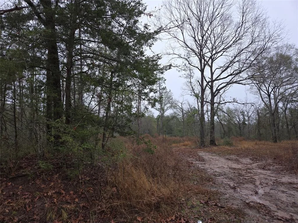 Photo of 4572 County Road 3610