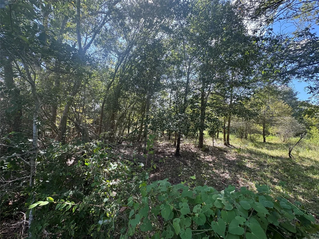 Photo of 16547 Highway 105